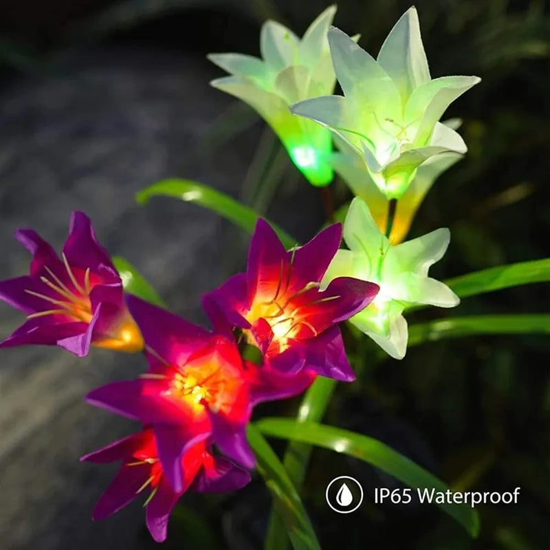 Flores para Jardim de Luz Solar