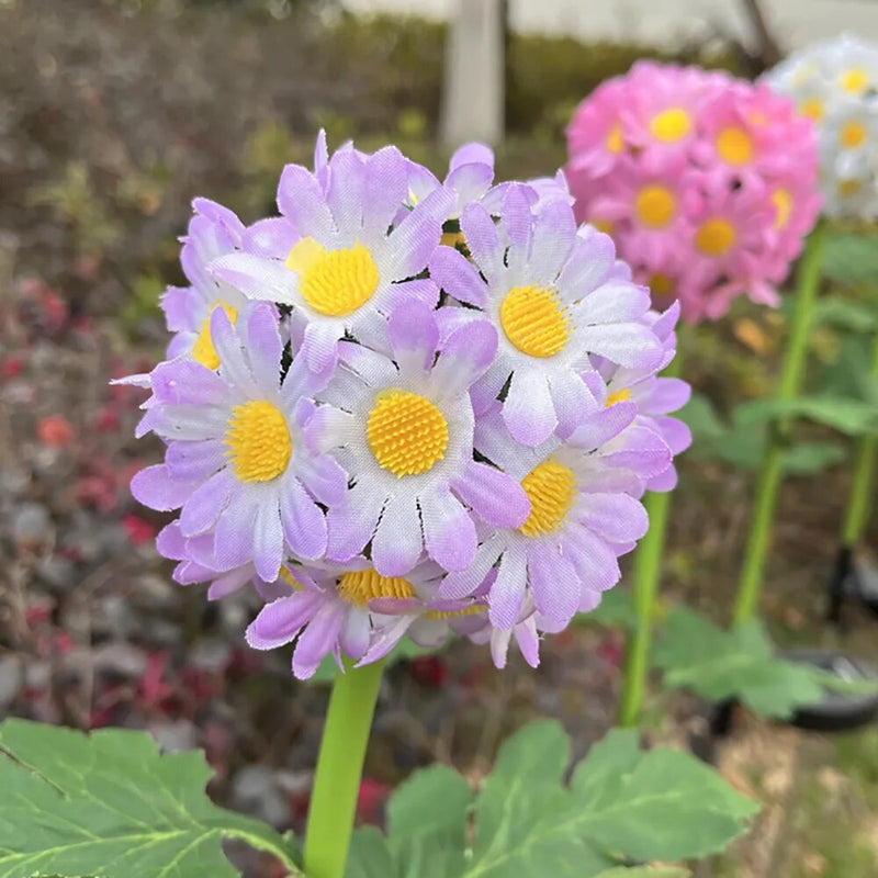 Iluminação Solar Flores para Jardim