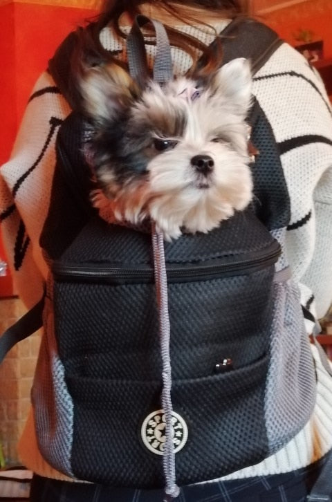 Mochila para Transporte Pet.