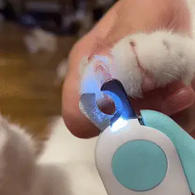 Cortador de Unha profissional com Led para Cachorro e Gato - Malta