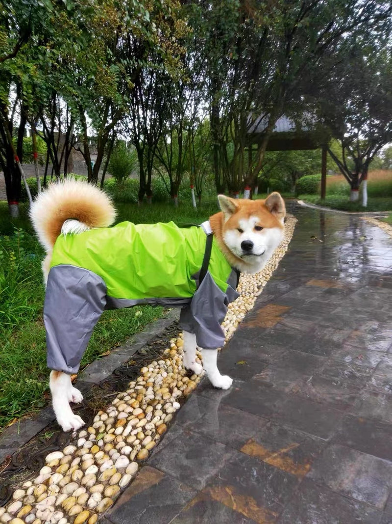 Capa de Chuva para Cães de Médio a Grande Porte