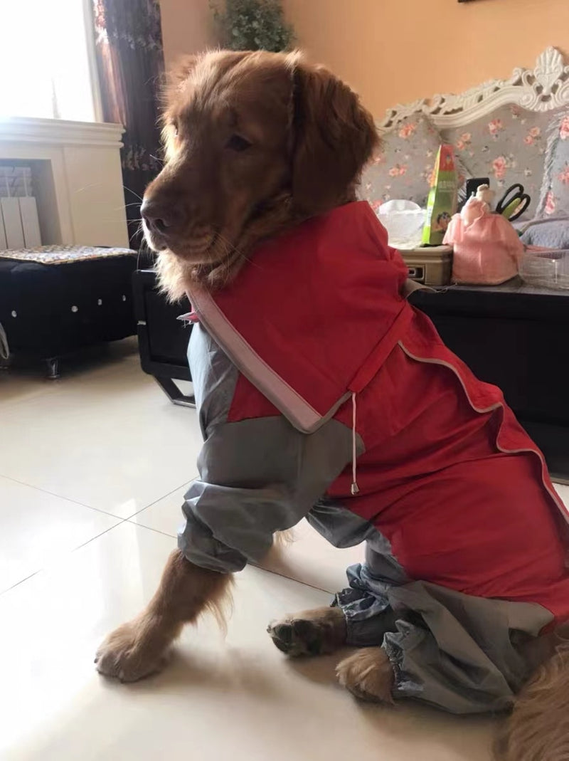 Capa de Chuva para Cães de Médio a Grande Porte