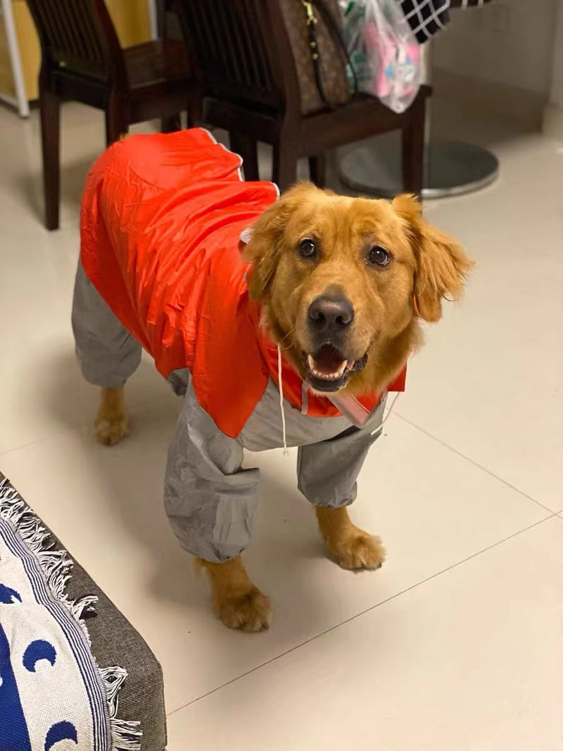 Capa de Chuva para Cães de Médio a Grande Porte