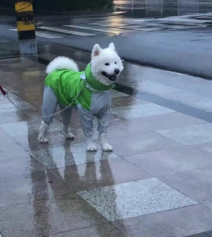 Capa de Chuva para Cães de Médio a Grande Porte