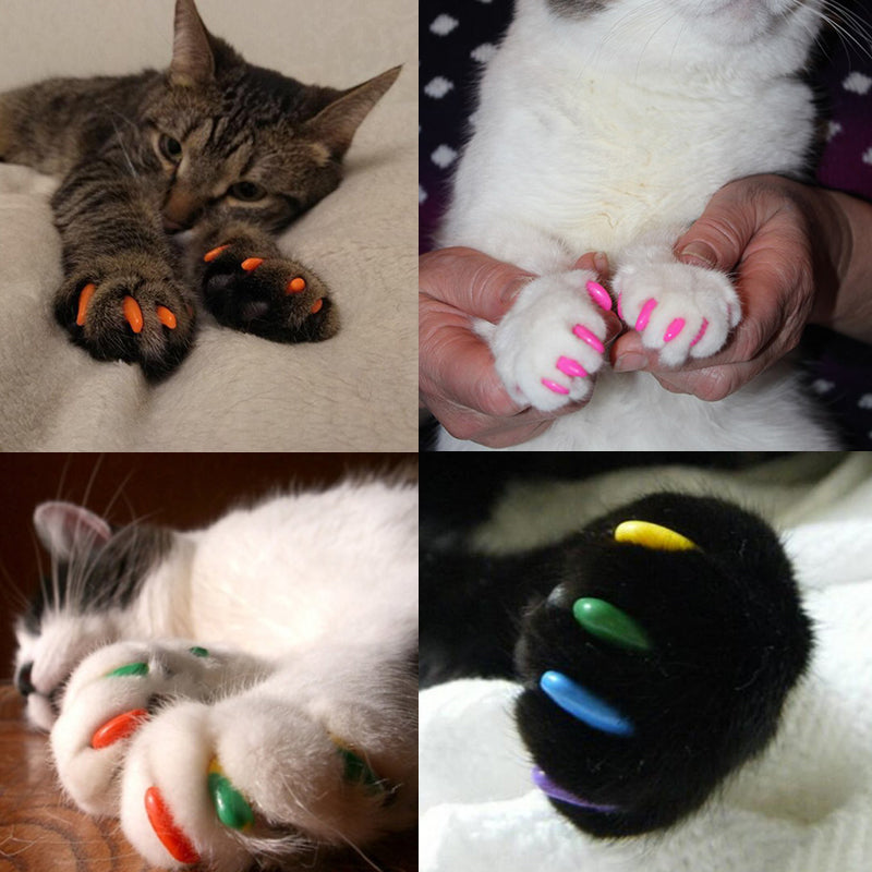 20 Peças de Unhas Protetoras Coloridas para Gatos e Cães