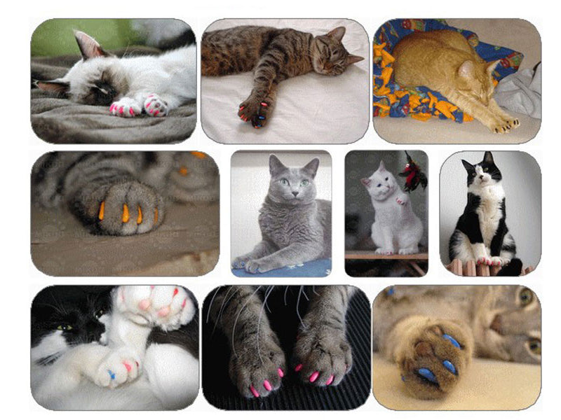 20 Peças de Unhas Protetoras Coloridas para Gatos e Cães