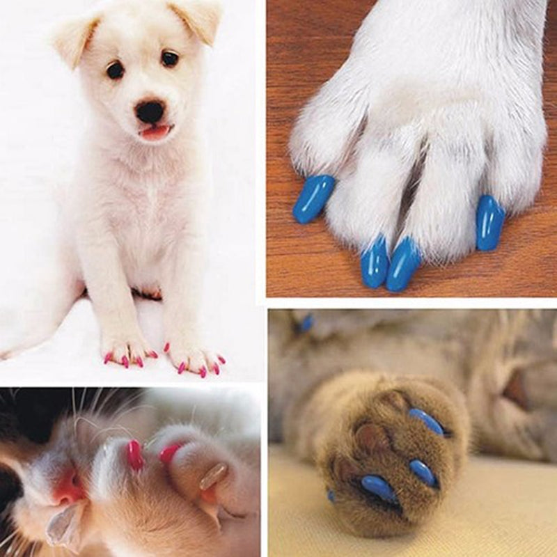 20 Peças de Unhas Protetoras Coloridas para Gatos e Cães