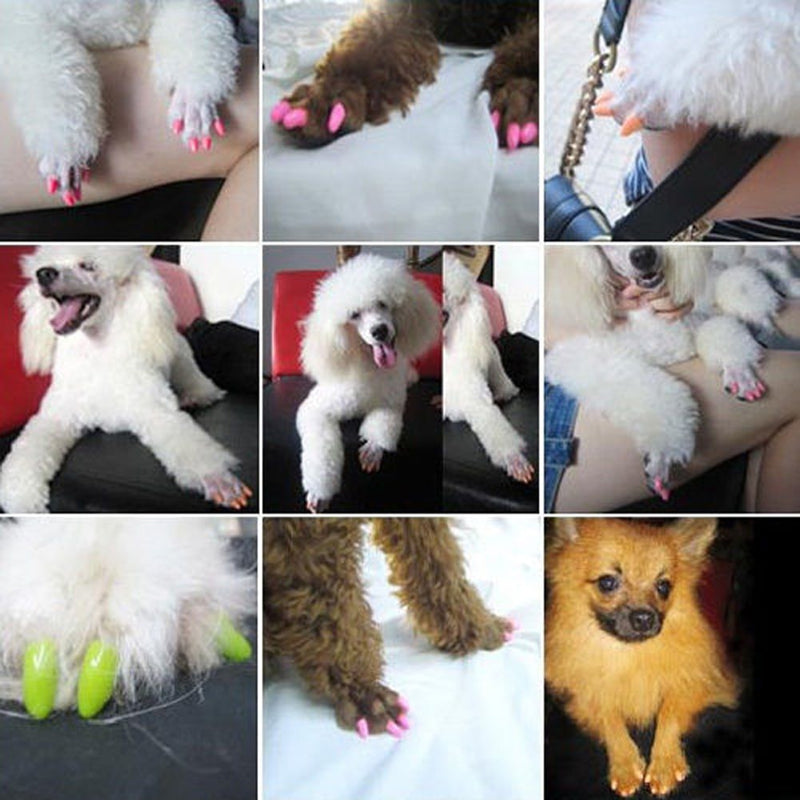 20 Peças de Unhas Protetoras Coloridas para Gatos e Cães