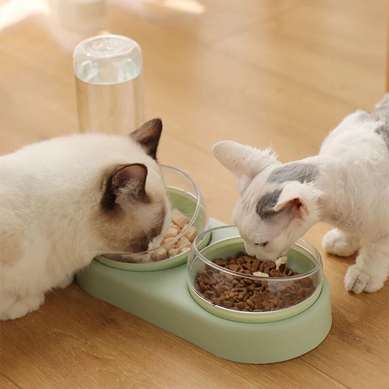 Bebedouro e Comedouro para Cães e Gatos